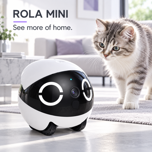 Enabot EBO ROLA Mini — A Mobile 2K View of Home — product view 1