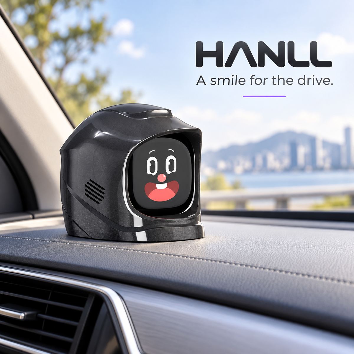 Hanll Dashboard Companion — A Small Smile for Every Drive — product view 1